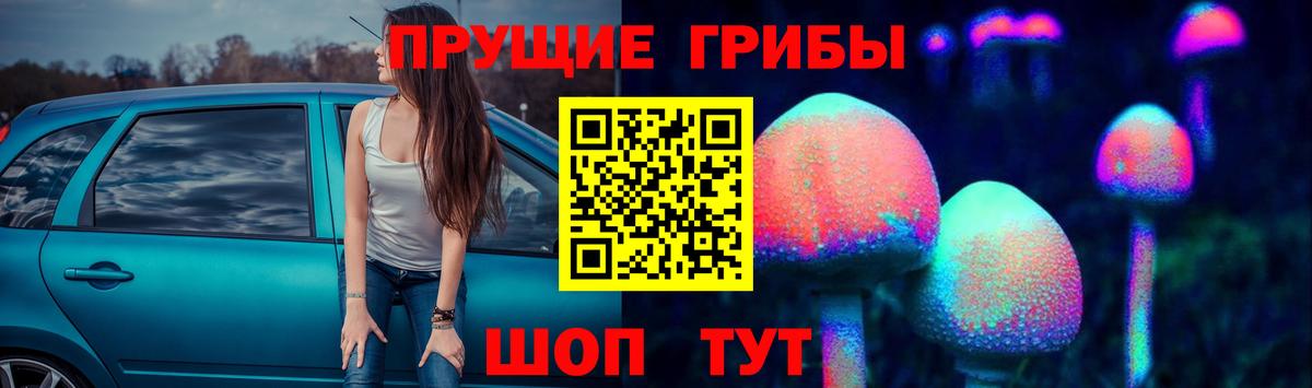 Псилоцибиновые грибы Psilocybe  Вход с VPN  Новошахтинск  Галлюциногенные грибы прущие грибы 